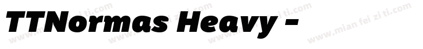TTNormas Heavy 常规字体转换